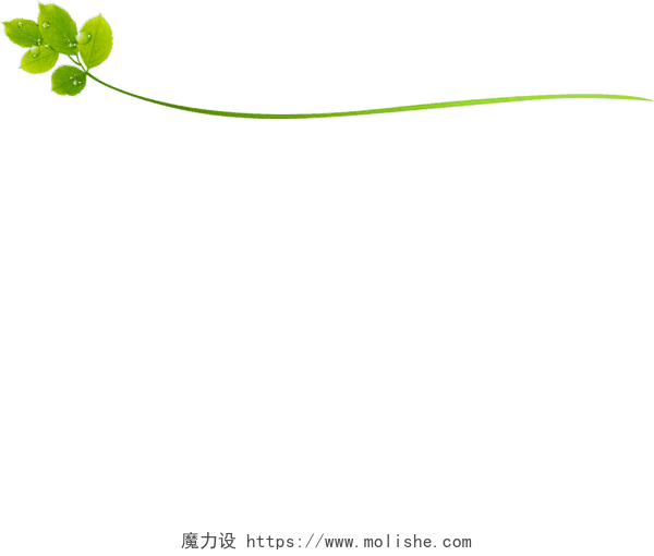 绿色树叶茎叶分割线